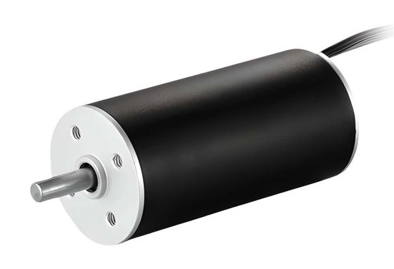 Motore a corrente continua senza spazzole da 22 mm 36V 16768 giri al minuto