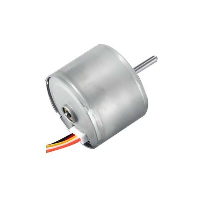 Motore a corrente continua senza spazzole 12V 24mm Motore BLDC per riccioli e apparecchiature mediche