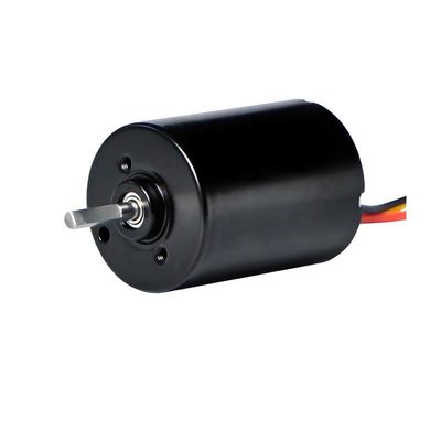 Motore senza spazzole PMDC da 28 mm con driver integrato 5.1W 12V 24V Motore BLDC ad alta potenza per pompe elettriche