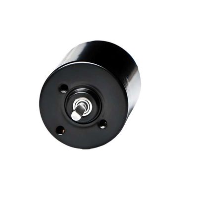 Motore senza spazzole PMDC da 28 mm con driver integrato 5.1W 12V 24V Motore BLDC ad alta potenza per pompe elettriche