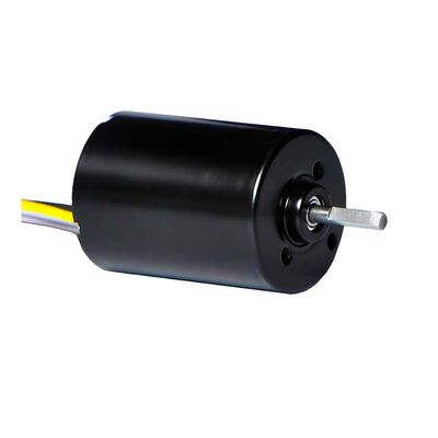 Motore senza spazzole PMDC da 28 mm con driver integrato 5.1W 12V 24V Motore BLDC ad alta potenza per pompe elettriche