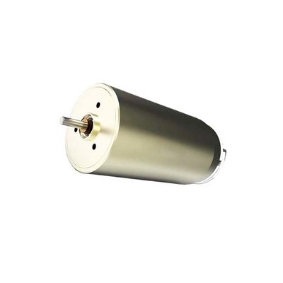 23 mm Motore a corrente continua a alta coppia a spazzola 12V 27.5 Watt 9860 giri al minuto Efficiente dal punto di vista energetico