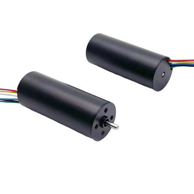 Motore senza spazzola 16mm DC Sensore Motore senza spazzola 24V 10W 20W 18900rpm Personalizzabile