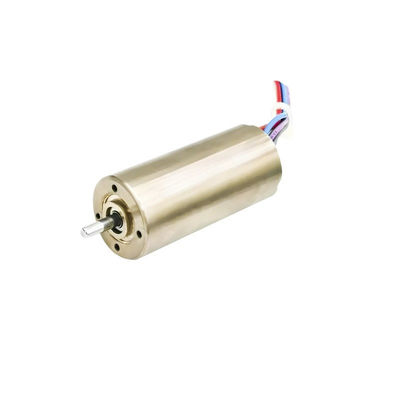 Motore senza spazzola senza sensore da 16 mm Motore senza slot 24V 10W 20W 18900rpm Personalizzabile