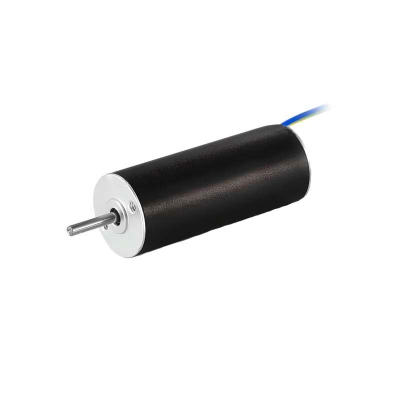Motore senza spazzola senza spazzola 12mm 6.5W 25310rpm Motore DC senza core per pompe mediche
