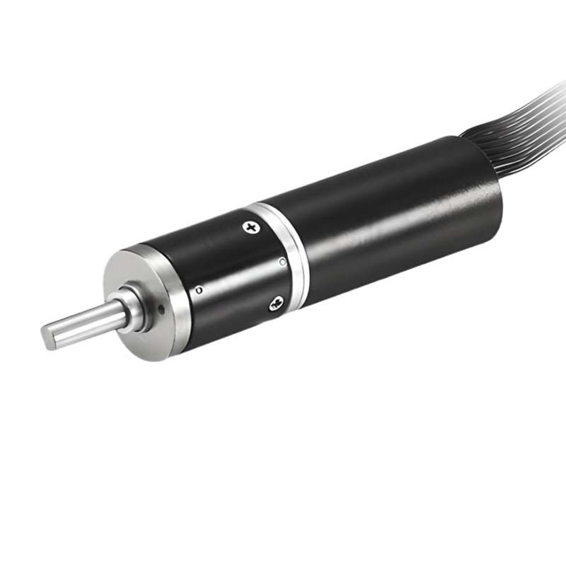 Motore di marcia planetario senza spazzola ad alta coppia 6V 600mNm 6.7RPM 16mm Motore senza spazzola