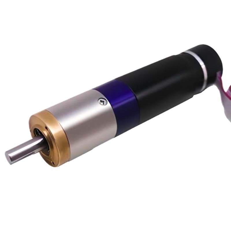 Motore di trasmissione BLDC industriale 48V 28mm Motore a corrente continua a trasmissione planetaria 2500mNm 3.9RPM