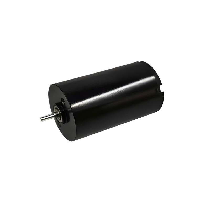 Motore a corrente continua a spazzola da 16 mm da 1,57 Watt 9980 giri al minuto Motore a corrente continua a spazzola elettrica 24V personalizzabile