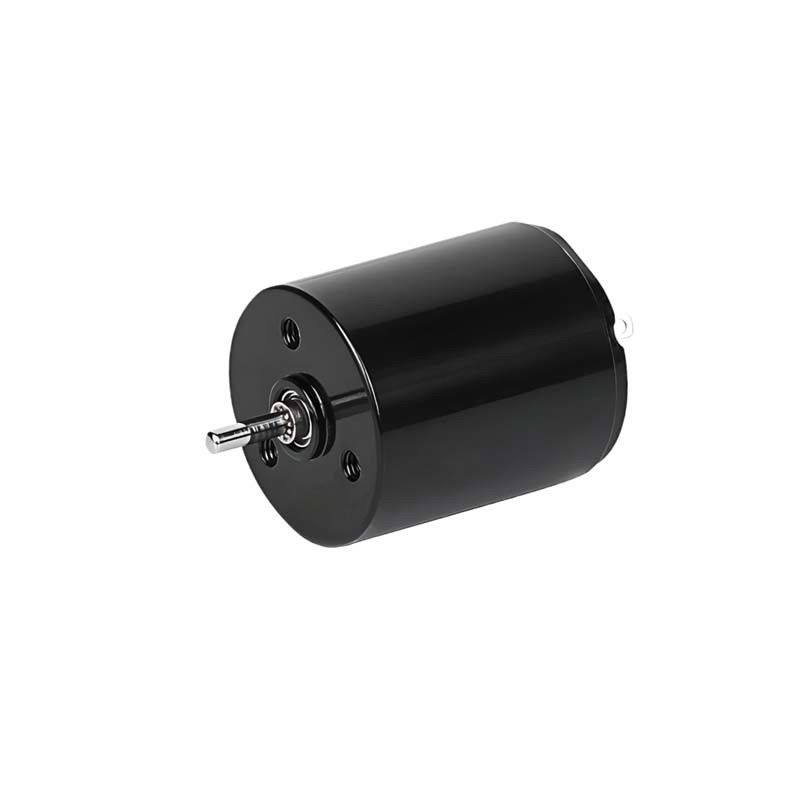 Micro spazzola senza nucleo Motore a corrente continua 22 mm 3.61 Watt 6900 giri al minuto 36V personalizzabile