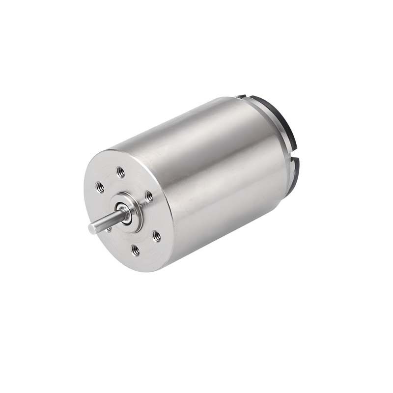 Motore a corrente continua senza lucchetto spazzolato 22 mm 5,37 Watt 7430 giri al minuto 6 V servomotore spazzolato personalizzato
