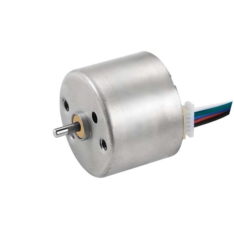 Motore a corrente continua senza spazzole 12V 24mm Motore BLDC per riccioli e apparecchiature mediche