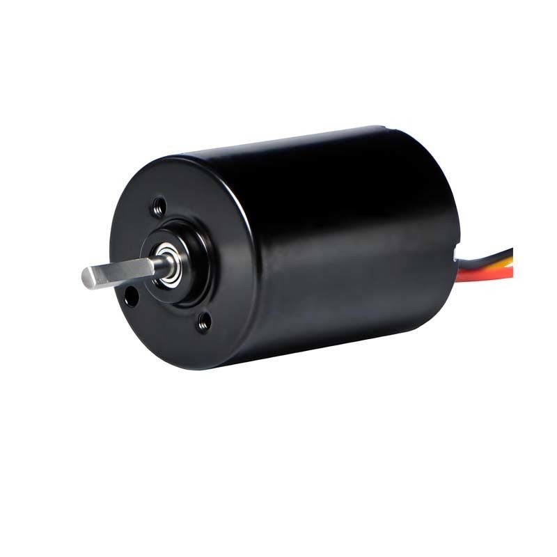 Motore senza spazzole PMDC da 28 mm con driver integrato 5.1W 12V 24V Motore BLDC ad alta potenza per pompe elettriche