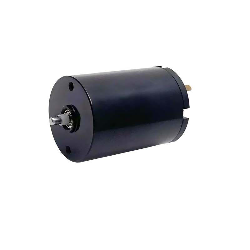Motore a corrente continua spazzolato da 16 mm da 1,57 Watt 9980 giri al minuto 24 V Micro-motore spazzolato personalizzato