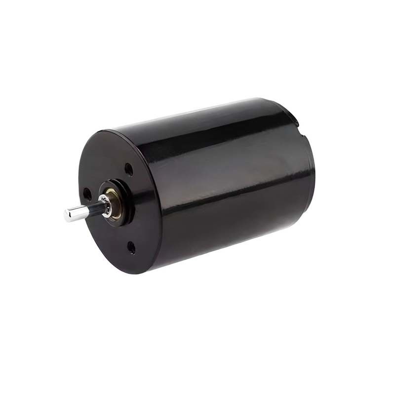 Motore di spazzola a carbonio Micro 22mm 3.61 Watt 6900 giri al minuto 36V personalizzabile