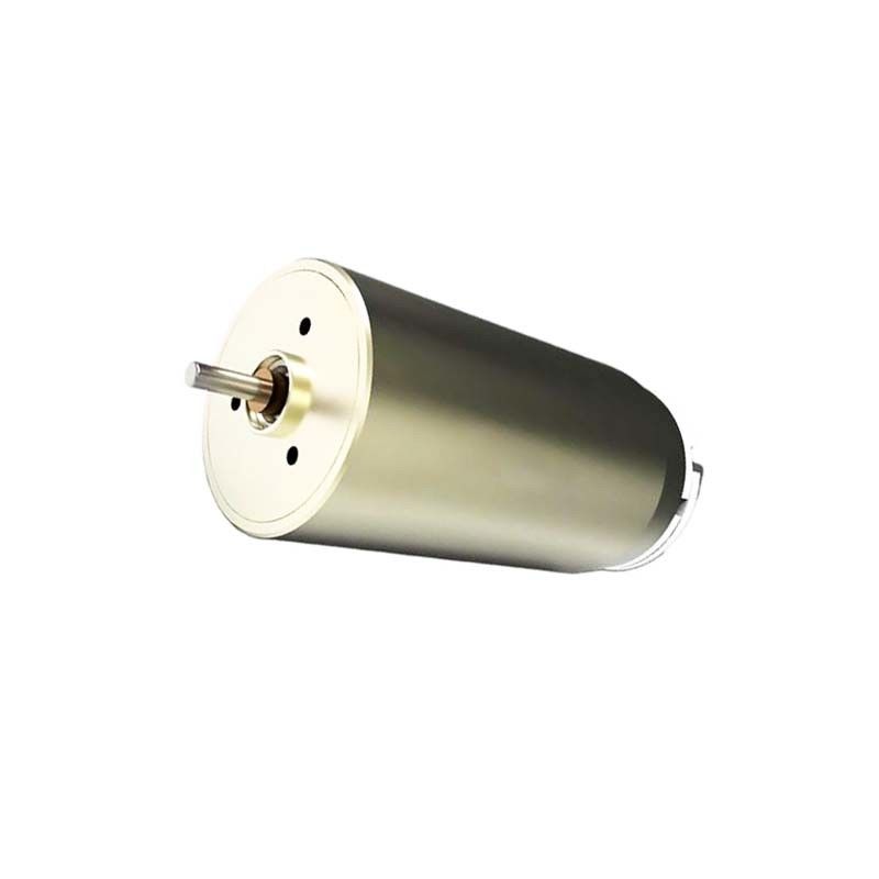 23 mm Motore a corrente continua a alta coppia a spazzola 12V 27.5 Watt 9860 giri al minuto Efficiente dal punto di vista energetico