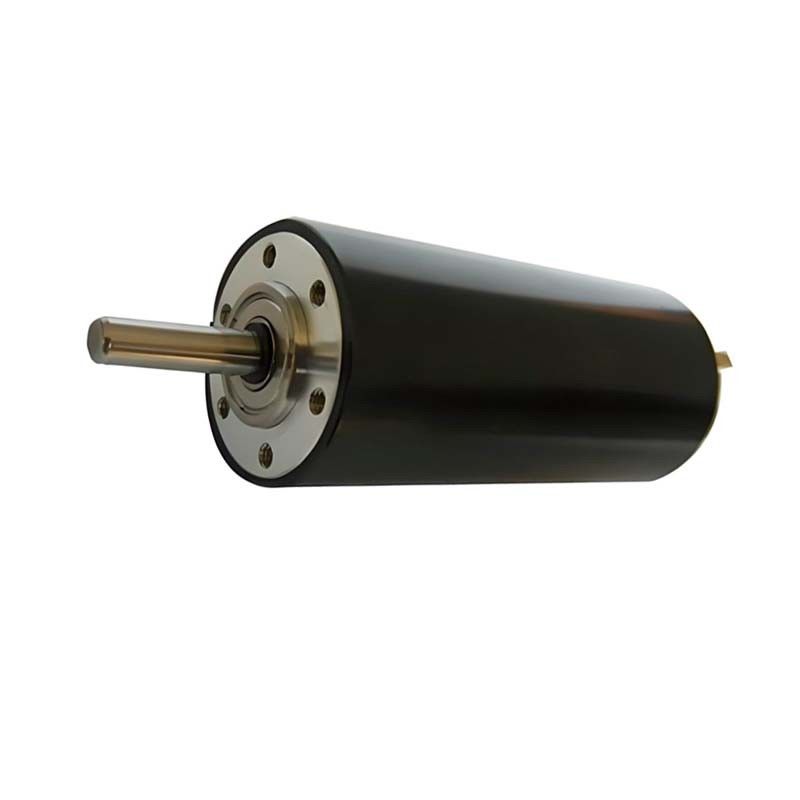 Motore a corrente continua a alta precisione a spazzola 73 Watt 7760 giri al minuto 30 mm 48 V Motore elettrico a corrente continua per automobili